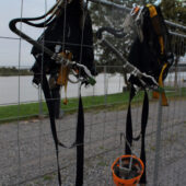  Sproing Pics (19/100)